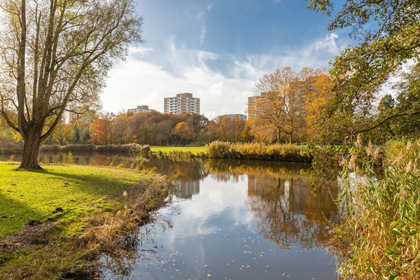 Medium property photo - Hoofdweg 704, 1055 AB Amsterdam