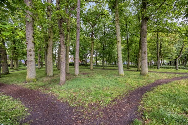 Medium property photo - Dorpsstraat 31, 1399 GT Muiderberg