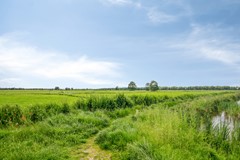 Koop: Blomsingel, 3755 SN Eemnes