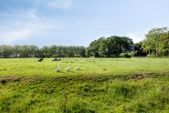 Koop: Tesselschadelaan, 1399 VP Muiderberg