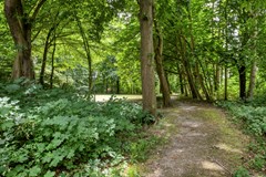 Koop: De Kogge 12, 1398 CE Muiden