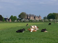 Koop: De Kogge 12, 1398 CE Muiden