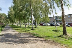 Delftlaan355HS2024CKHaarlemNL-35.jpg