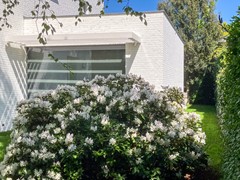 rodondendrons-2.jpg