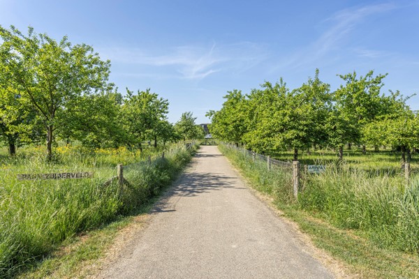 Medium property photo - Hennepstraat 55, 6842 BJ Arnhem