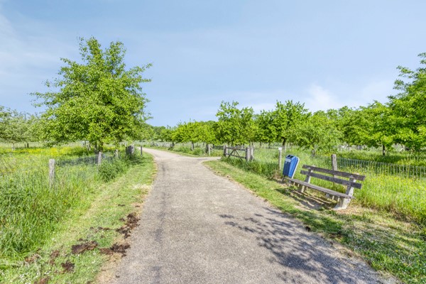 Medium property photo - Hennepstraat 55, 6842 BJ Arnhem