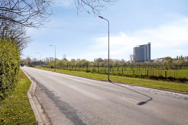 Medium property photo - Willem Roodbeenhof 7, 6842 CX Arnhem