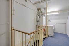 Griend106662xwElstNL-24.jpg