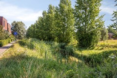 Stadswaardenlaan366833lmArnhem-47.jpg