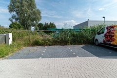 DSC09273.jpg