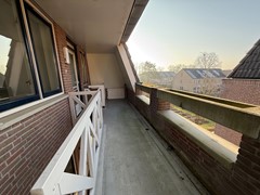 IMG_7042.jpg