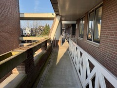 IMG_7044.jpg