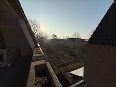 IMG_7043.jpg
