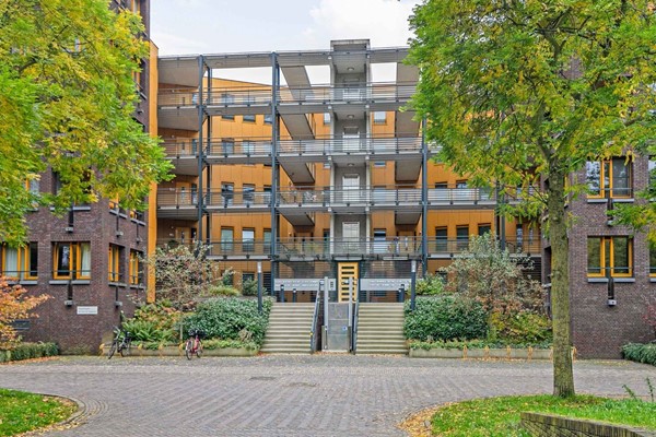 For rent: Wipstrikpark 67, 8025 CC Zwolle