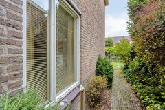 New for sale: Golden Delicious 97, 6922 AR Duiven