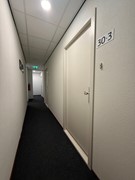 IMG_8777.jpeg
