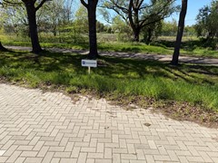 IMG_3449.JPG