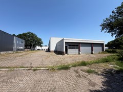IMG_4742.JPG
