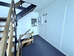 IMG_9519.jpeg