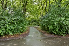 TopNaefflaan759721VEGroningen-36.jpg