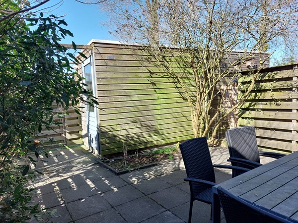 tuin.jpg
