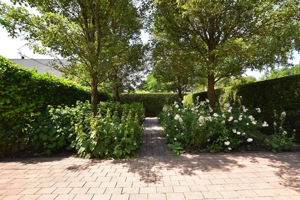 Medium property photo - Hollandse Hout 132, 8244 GE Lelystad