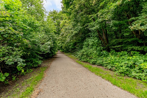 Medium property photo - Beukenhof 217, 8212 EK Lelystad