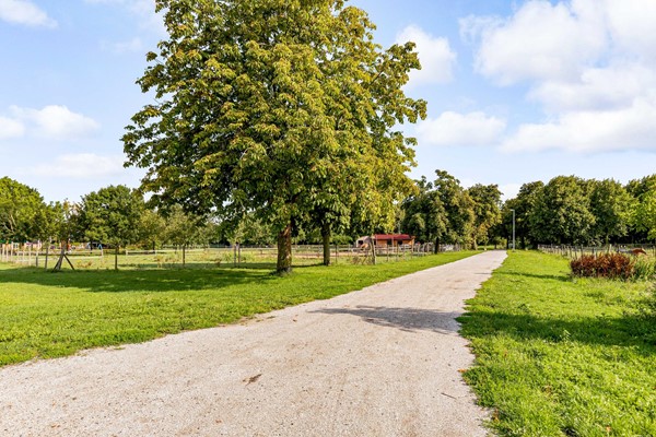 Medium property photo - Horst 37 31, 8225 NW Lelystad