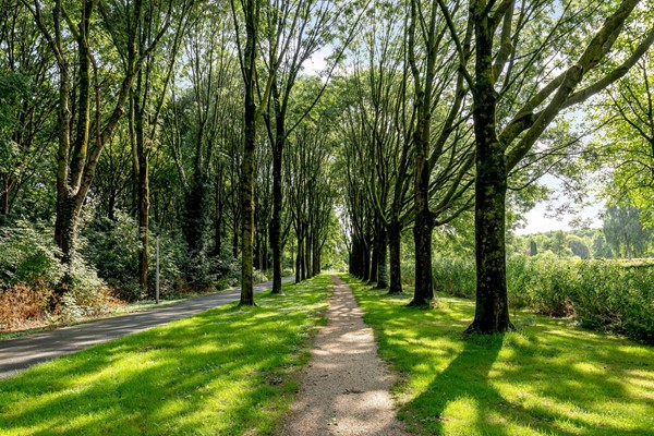Medium property photo - Horst 37 31, 8225 NW Lelystad