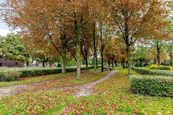 Medium property photo - Punter 33 63, 8242 EP Lelystad