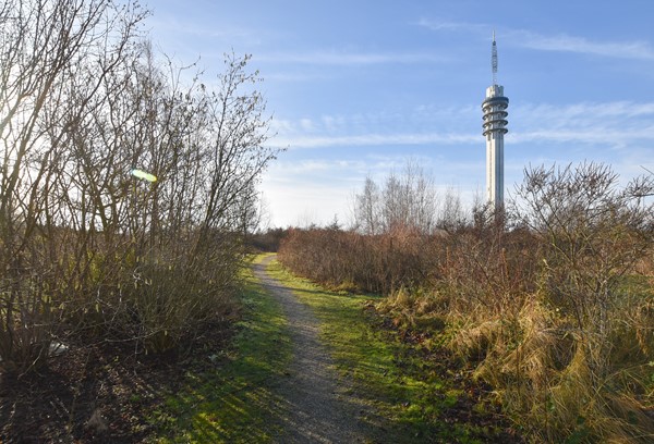 Medium property photo - Duinvoet 80, 8242 RC Lelystad