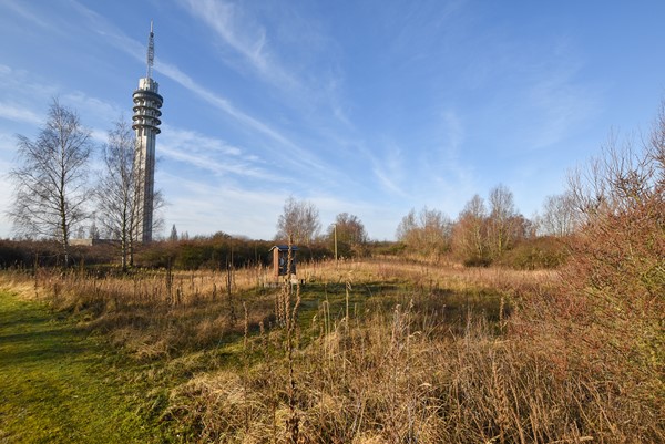 Medium property photo - Duinvoet 80, 8242 RC Lelystad