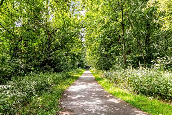 Medium property photo - Rozengaard 18 10, 8212 DP Lelystad