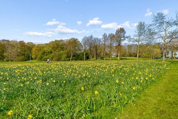 Medium property photo - Wold 24 39, 8225 BG Lelystad