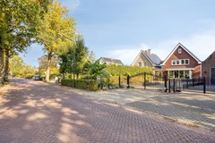 Grinsel87A5275JNDenDungenNL-01.jpg