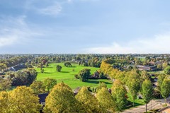 Grinsel87A5275JNDenDungenNL-86.jpg