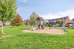 Grinsel87A5275JNDenDungenNL-72.jpg