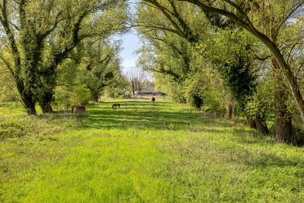 Medium property photo - Bokt 2, 5691 NH Son en Breugel