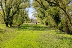 Bokt25691NHSonenBreugel-75.jpg