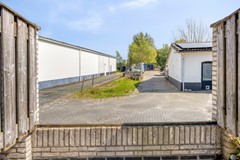 Bokt25691NHSonenBreugel-52.jpg