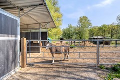 Bokt25691NHSonenBreugel-59.jpg