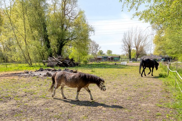 Medium property photo - Bokt 2, 5691 NH Son en Breugel