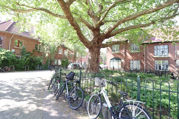 Medium property photo - Leeuwerikstraat 82A, 1021 GP Amsterdam