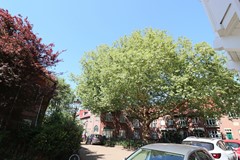 IMG_2678.JPG