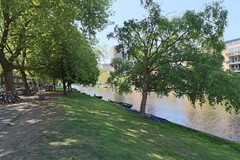 IMG_2674.JPG
