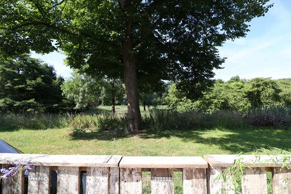Medium property photo - Eenhoornhof, 1033 XE Amsterdam
