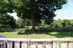 IMG_3065.JPG