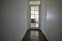 img_8390