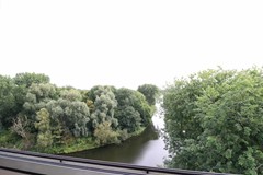 IMG_3353.JPG