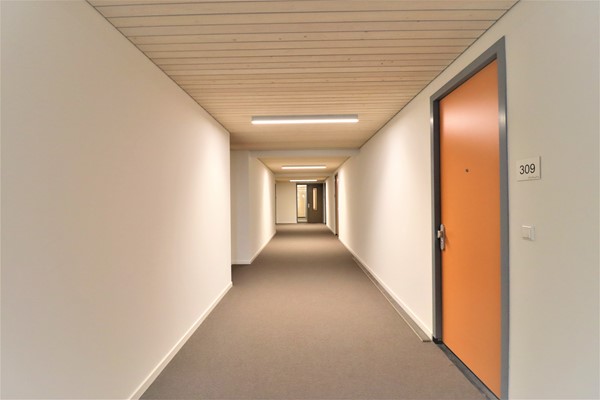 Medium property photo - Faas Wilkesstraat 313, 1095 MD Amsterdam